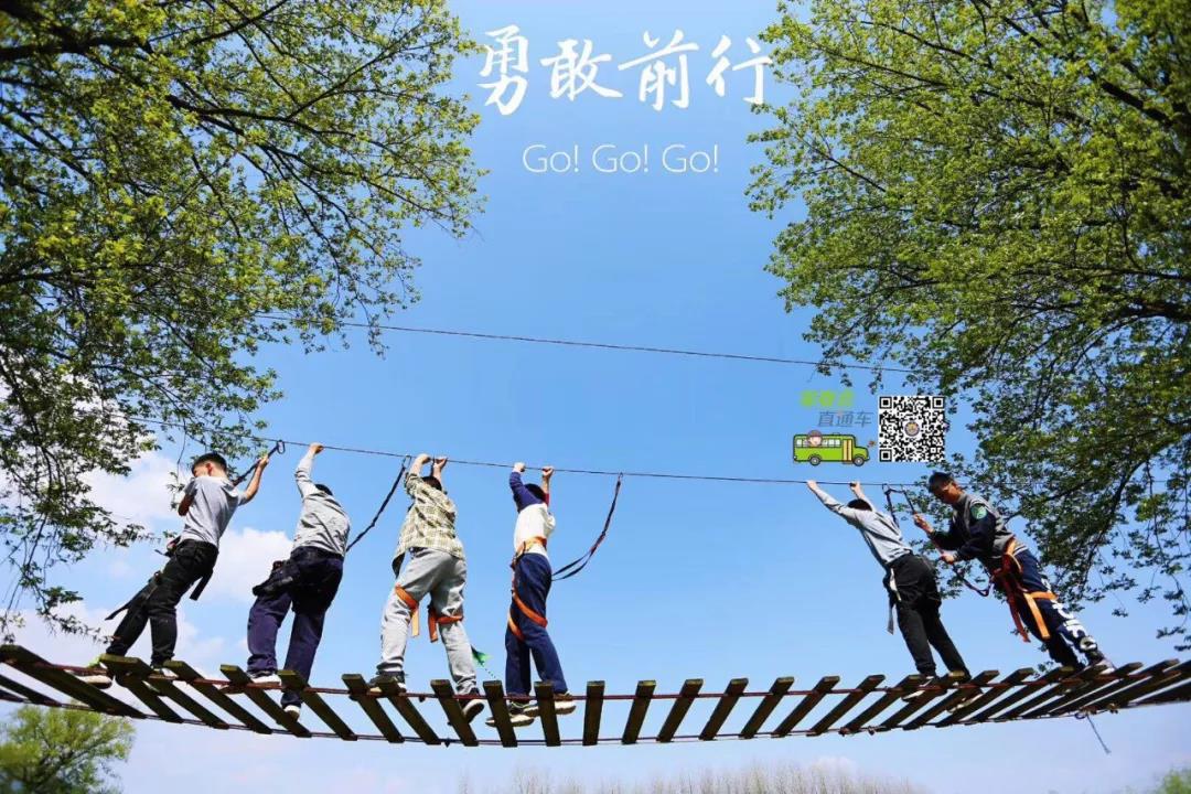 微信图片_20190410105939.jpg