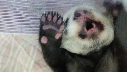 微信图片_20190412143341.gif
