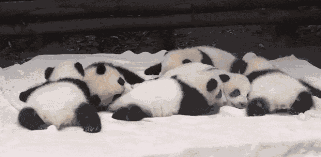 微信图片_20190412143401.gif