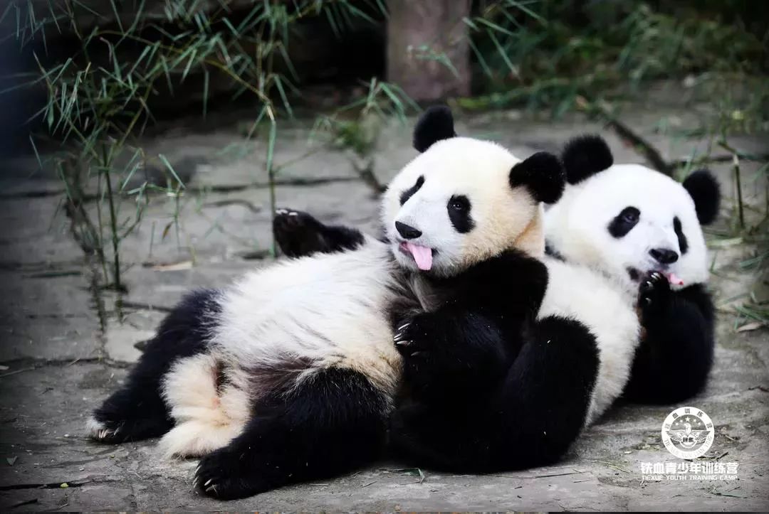 微信图片_20190412143143.jpg