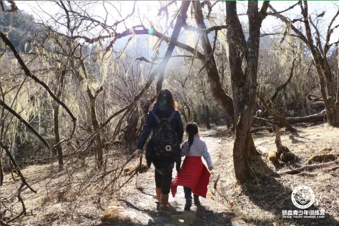 微信图片_20190412143146.jpg