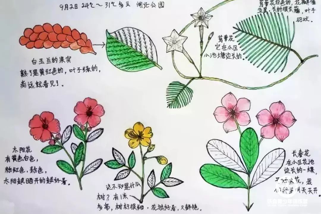 微信图片_20190412143215.jpg