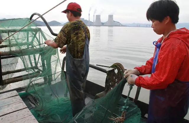 微信图片_20190415143856.jpg