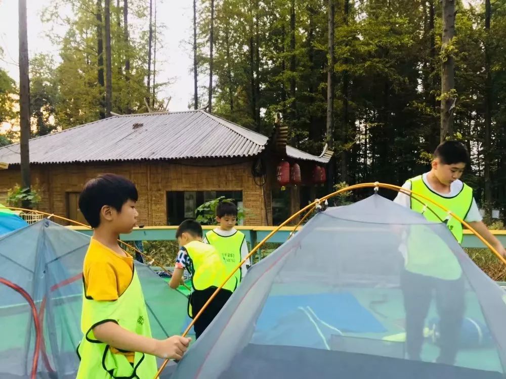 微信图片_20190510094127.jpg