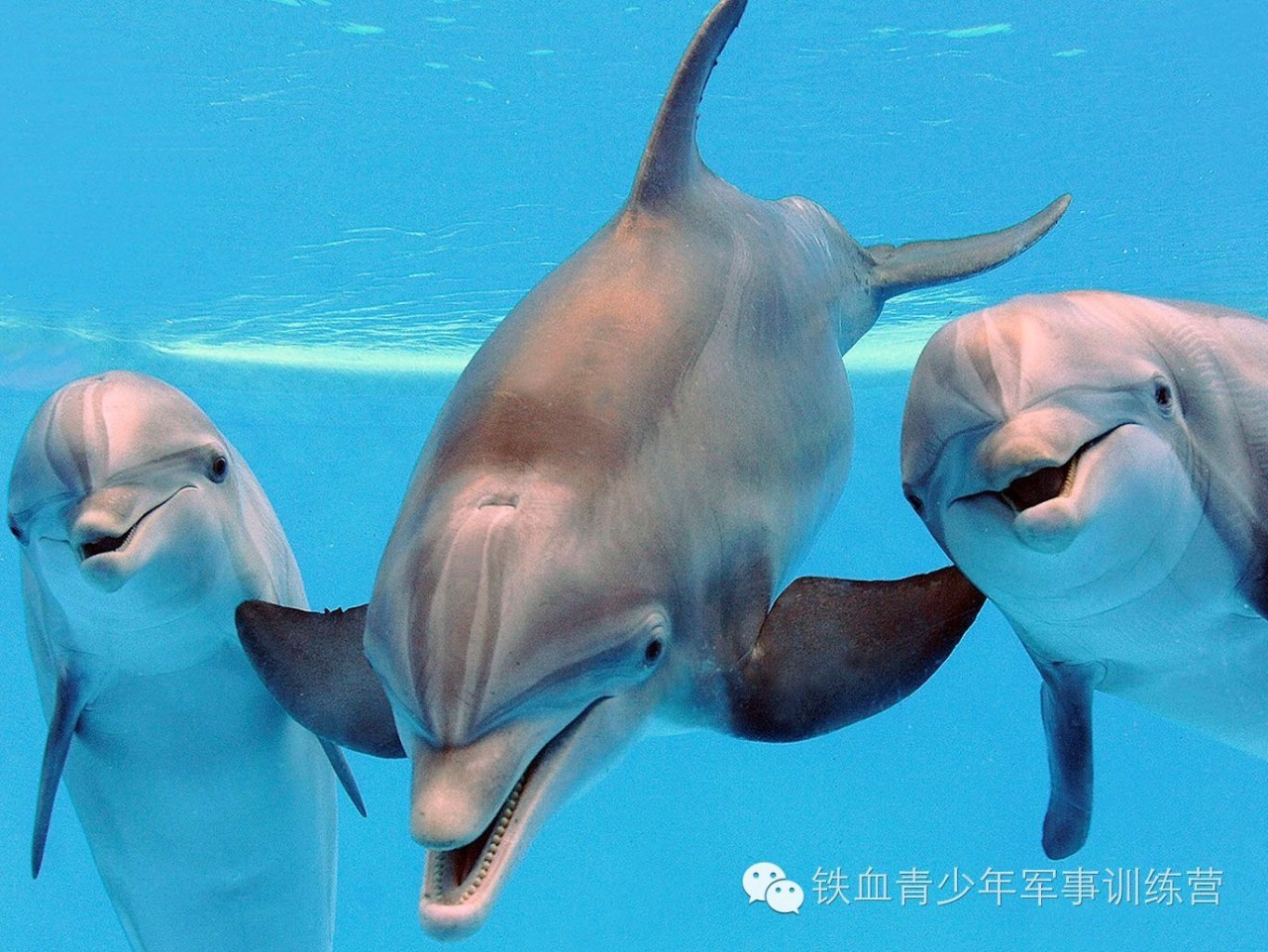 微信图片_20190512144200.jpg