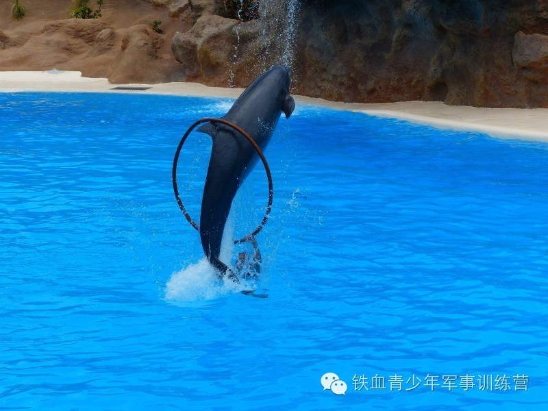 微信图片_20190512144202.jpg