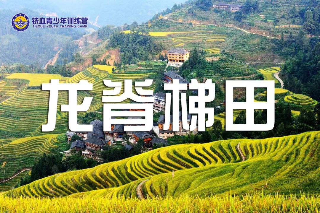 微信图片_20190620172526.jpg